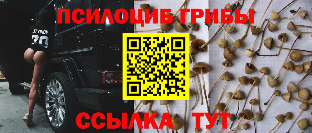 купить наркотики цена  Псилоцибиновые грибы Psilocybine cubensis  Вход с VPN  Углич  Галлюциногенные грибы MAGIC MUSHROOMS 